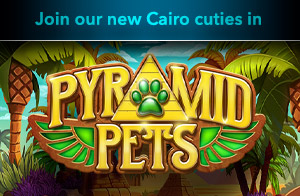 Pyramid Pets