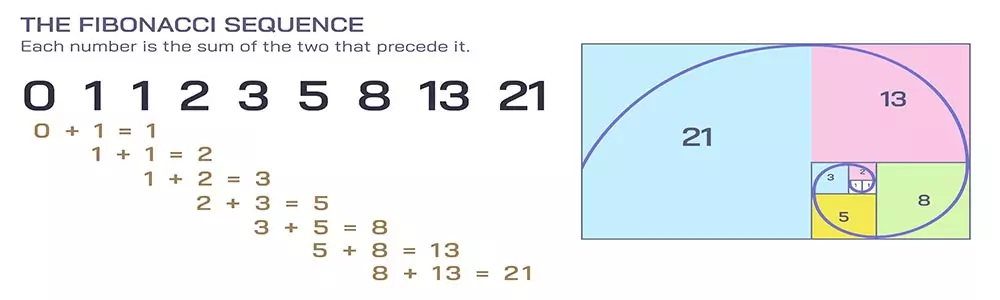 image illustrating Fibonacci Sequence 