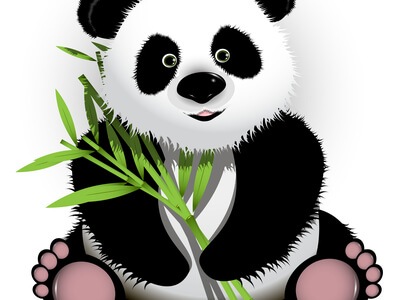 Pandas and slots come together at SlotoCash casino