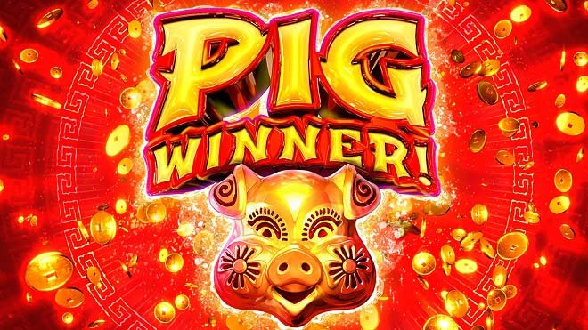 Pig Winner